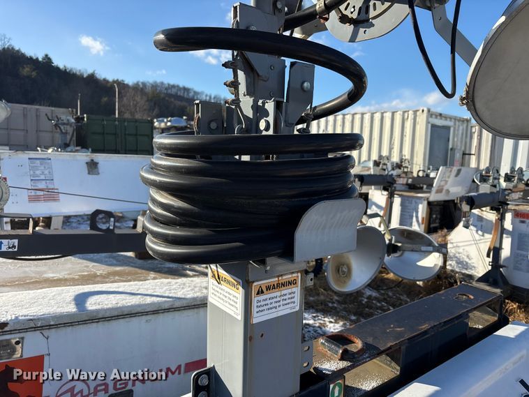 image for item DT2797 (4) light plants