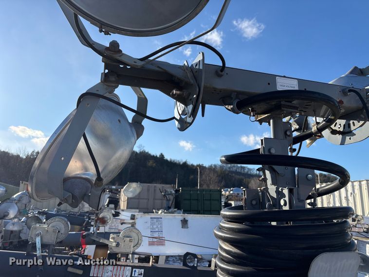 image for item DT2797 (4) light plants