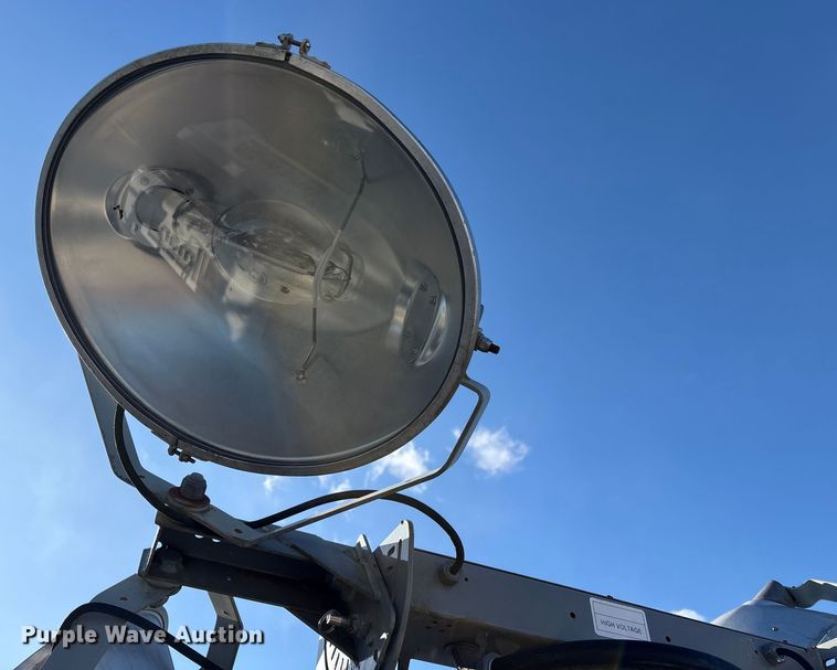 image for item DT2797 (4) light plants