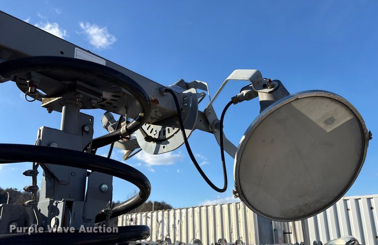 image for item DT2797 (4) light plants