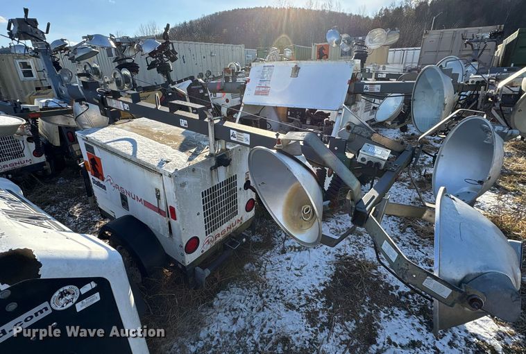 image for item DT2797 (4) light plants