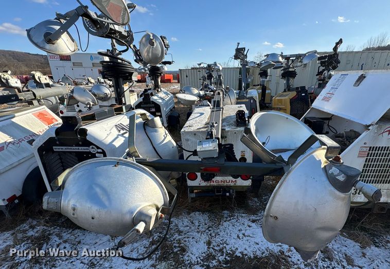 image for item DT2797 (4) light plants