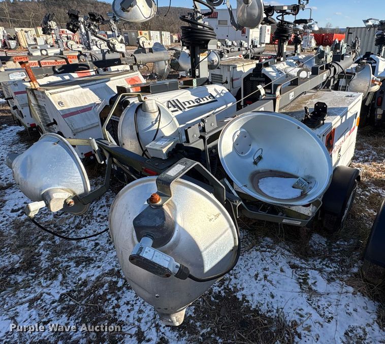 image for item DT2797 (4) light plants