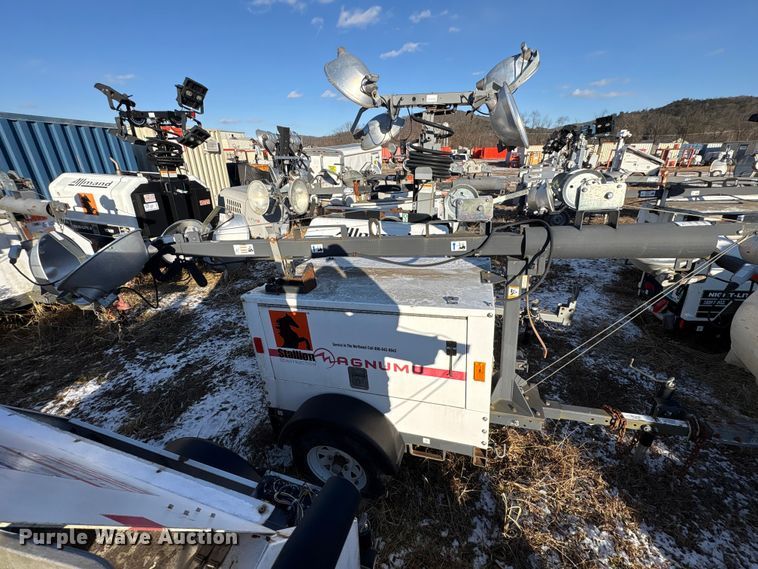 image for item DT2797 (4) light plants