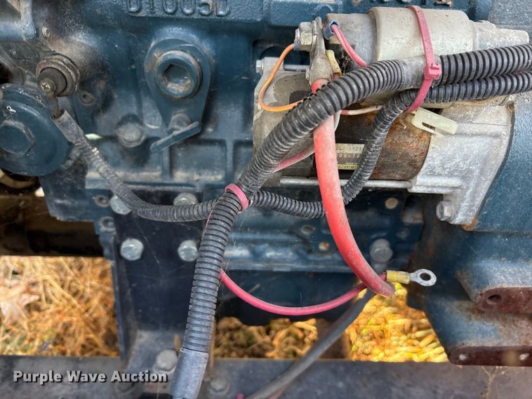 image for item DT2797 (4) light plants