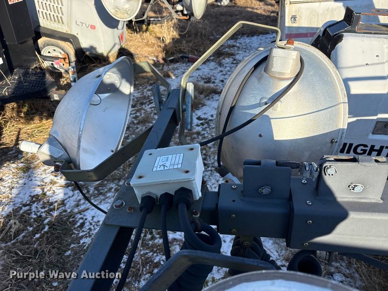 image for item DT2797 (4) light plants