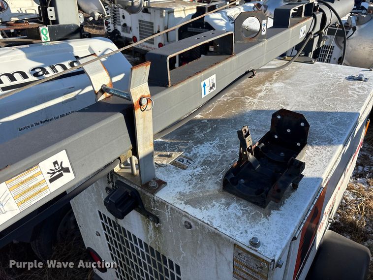 image for item DT2797 (4) light plants