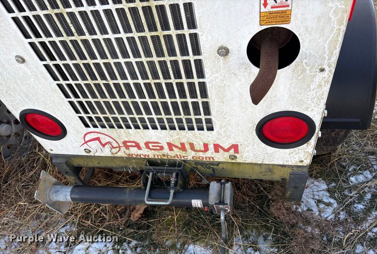 image for item DT2797 (4) light plants