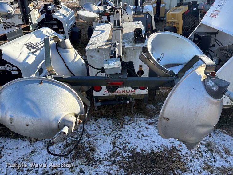 image for item DT2797 (4) light plants