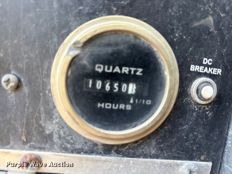 image for item DT2797 (4) light plants