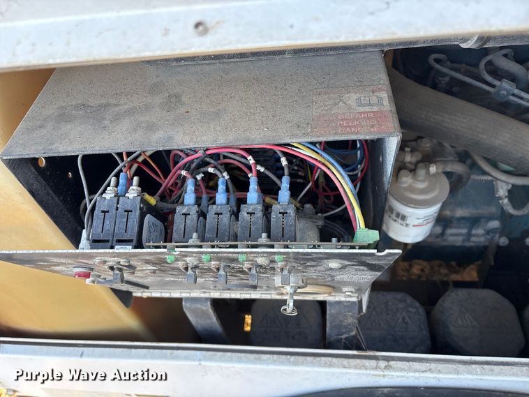 image for item DT2797 (4) light plants