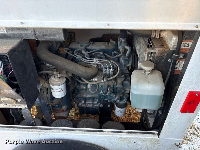 image for item DT2797 (4) light plants