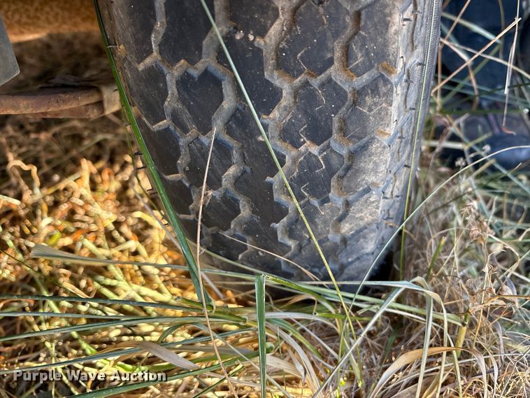 image for item DT2797 (4) light plants