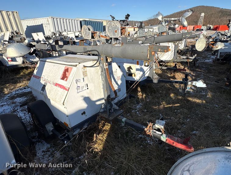 image for item DT2801  (3) light plants