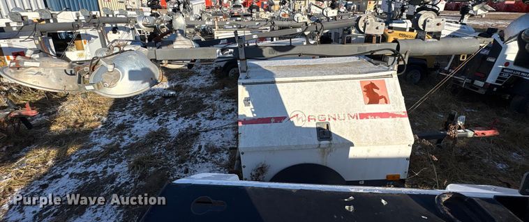 image for item DT2801  (3) light plants