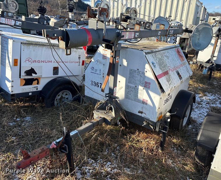 image for item DT2801  (3) light plants