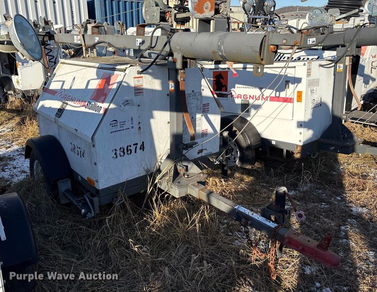 image for item DT2801  (3) light plants