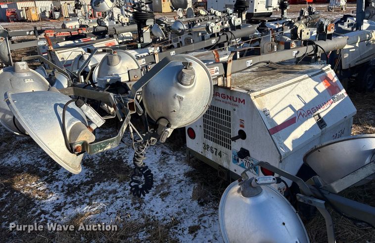 image for item DT2801  (3) light plants