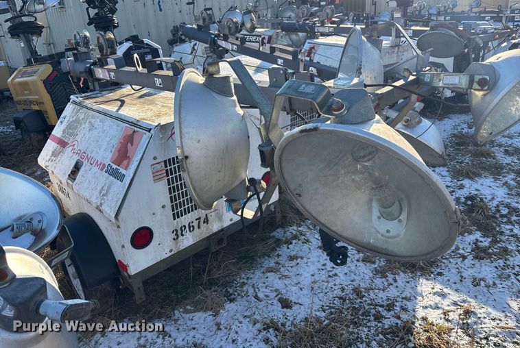 image for item DT2801  (3) light plants