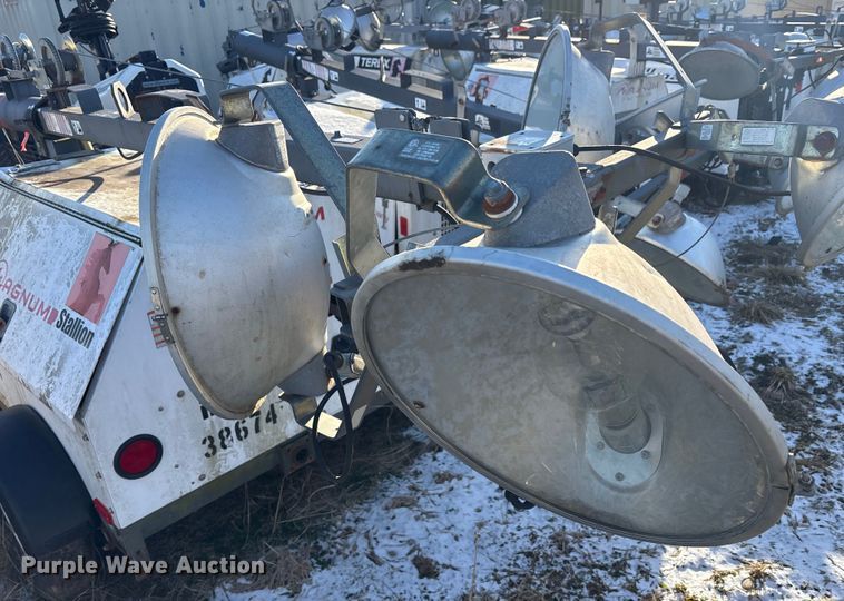 image for item DT2801  (3) light plants