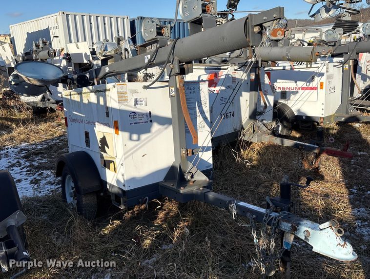 image for item DT2801  (3) light plants