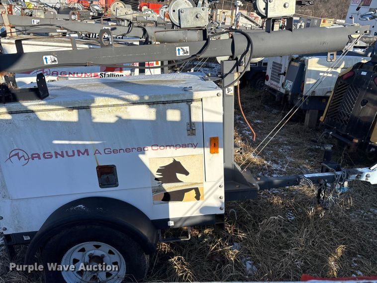 image for item DT2801  (3) light plants