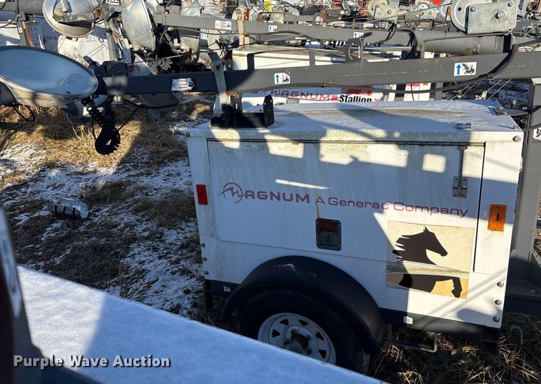 image for item DT2801  (3) light plants