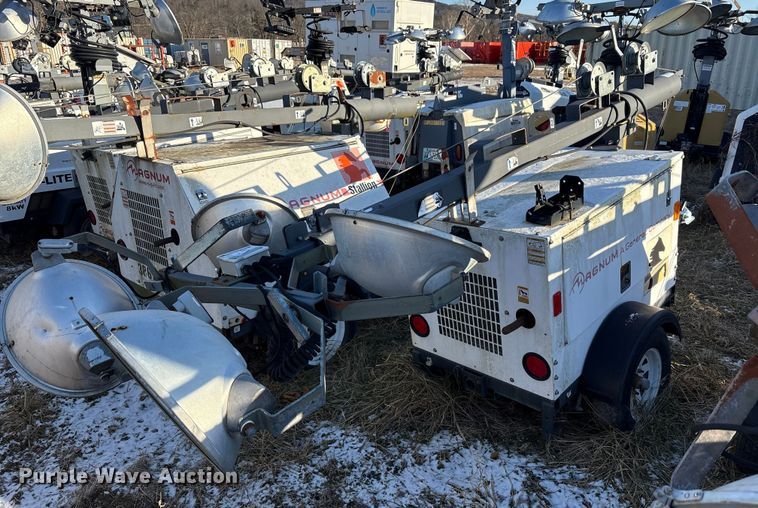 image for item DT2801  (3) light plants