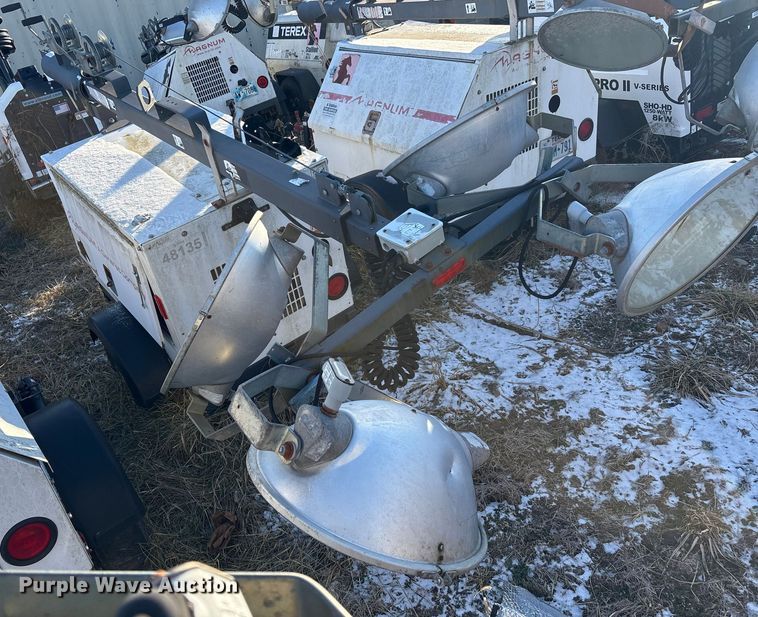 image for item DT2801  (3) light plants