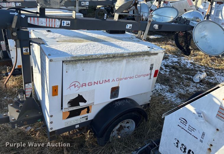 image for item DT2801  (3) light plants