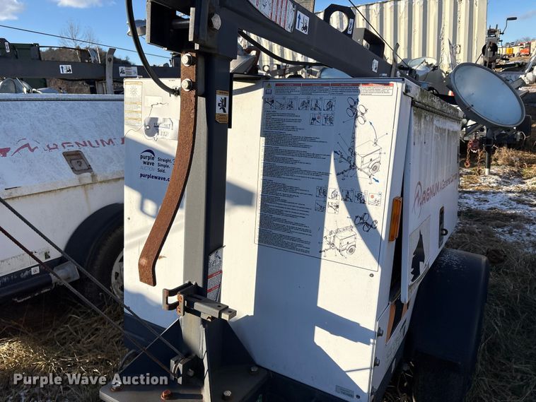 image for item DT2801  (3) light plants