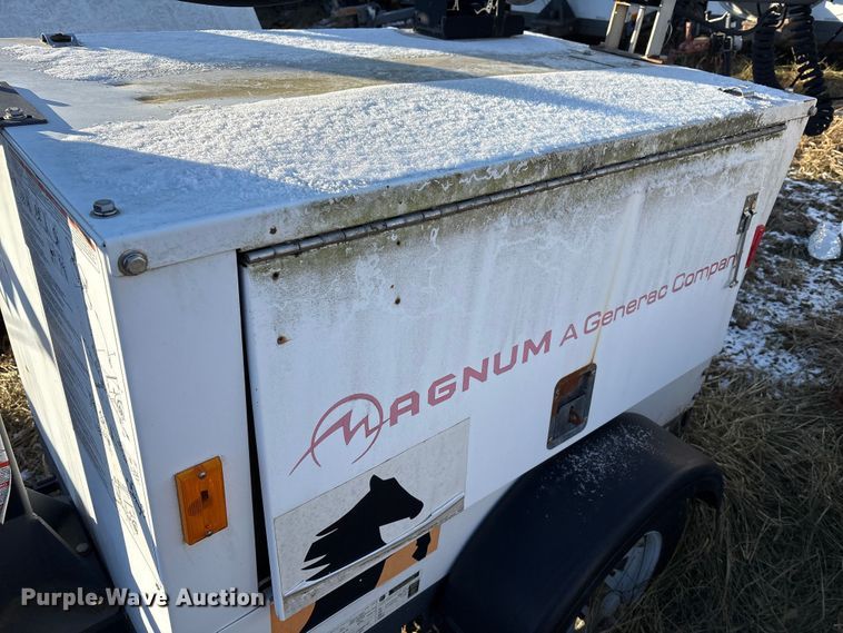 image for item DT2801  (3) light plants