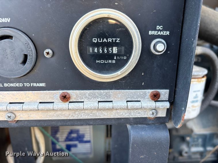 image for item DT2801  (3) light plants