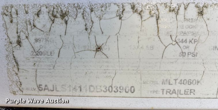 image for item DT2801  (3) light plants