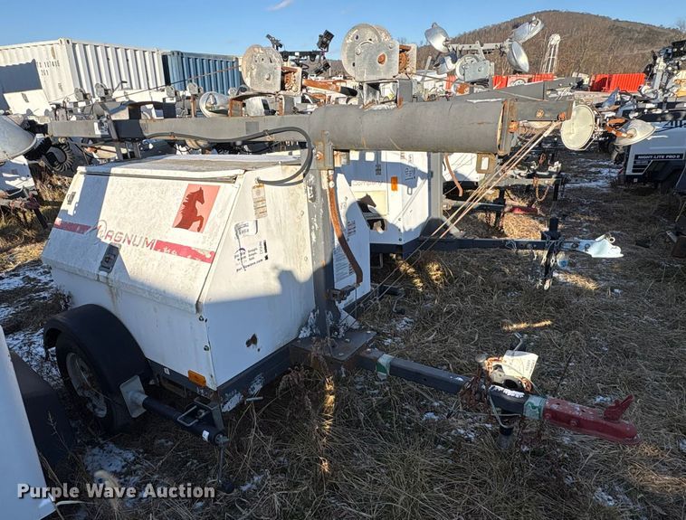 image for item DT2801  (3) light plants