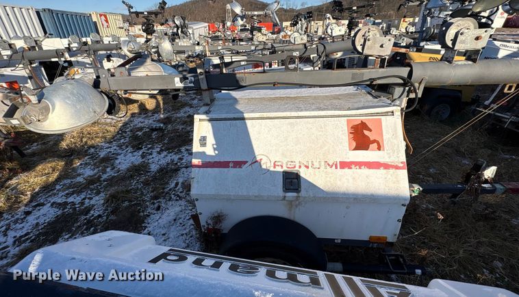 image for item DT2801  (3) light plants