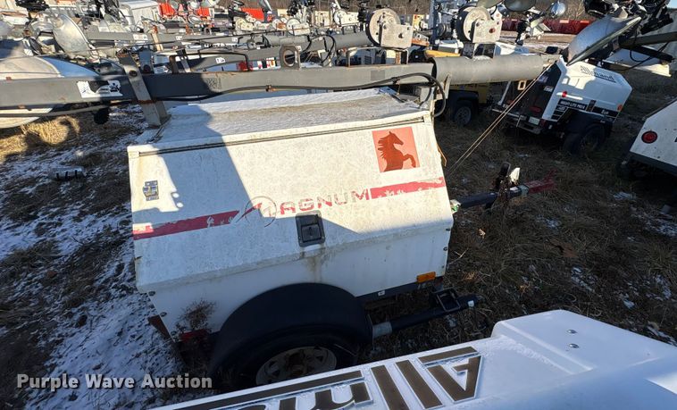 image for item DT2801  (3) light plants