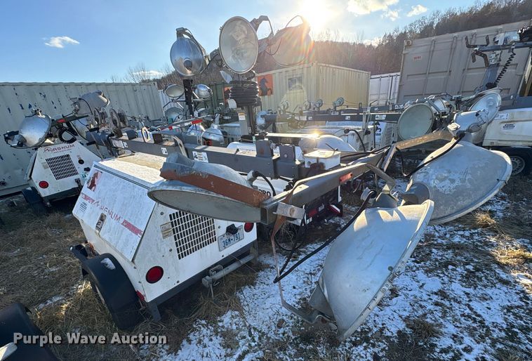 image for item DT2801  (3) light plants