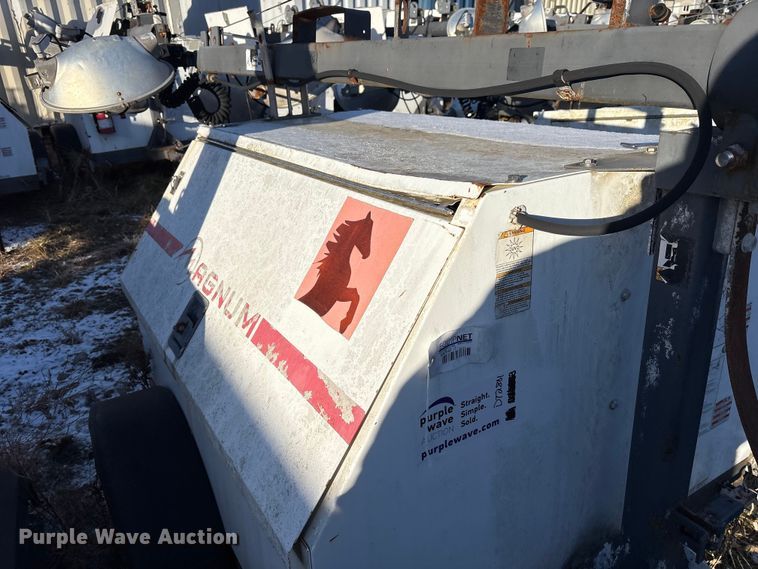 image for item DT2801  (3) light plants