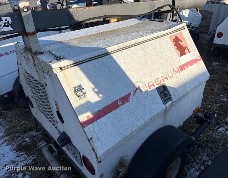 image for item DT2801  (3) light plants