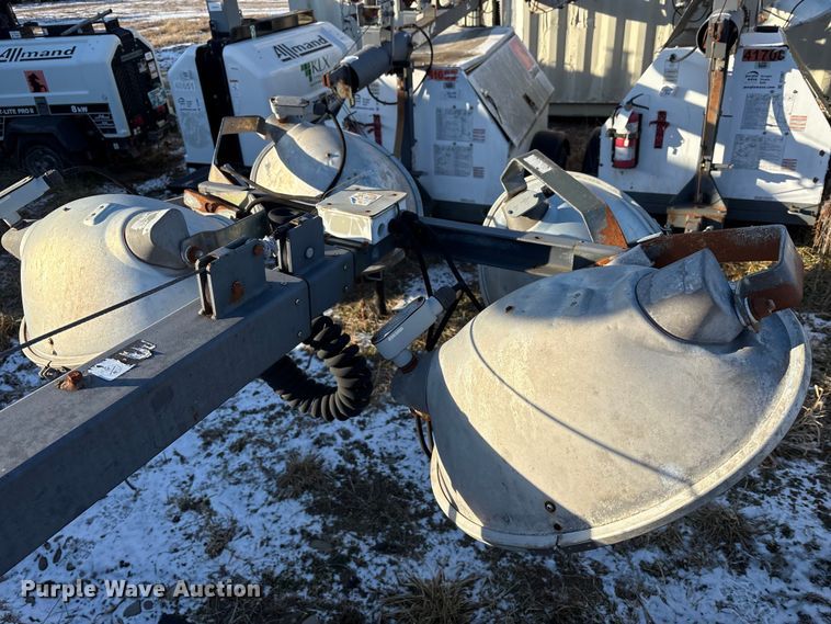 image for item DT2801  (3) light plants