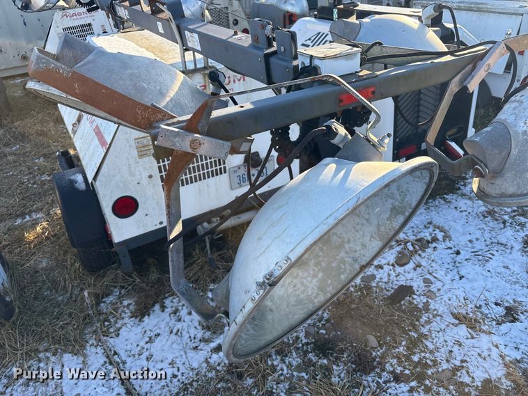 image for item DT2801  (3) light plants