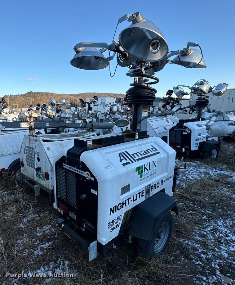 image for item DT2807 (3) light plants