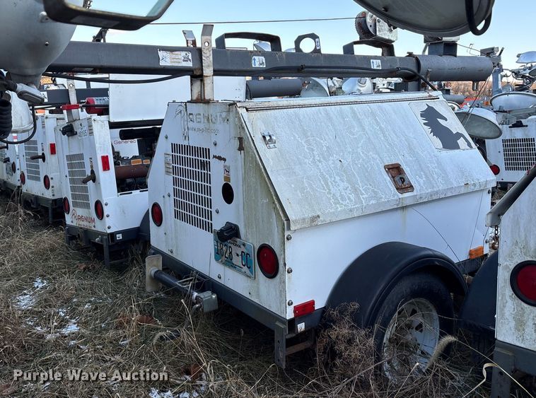 image for item DT2807 (3) light plants