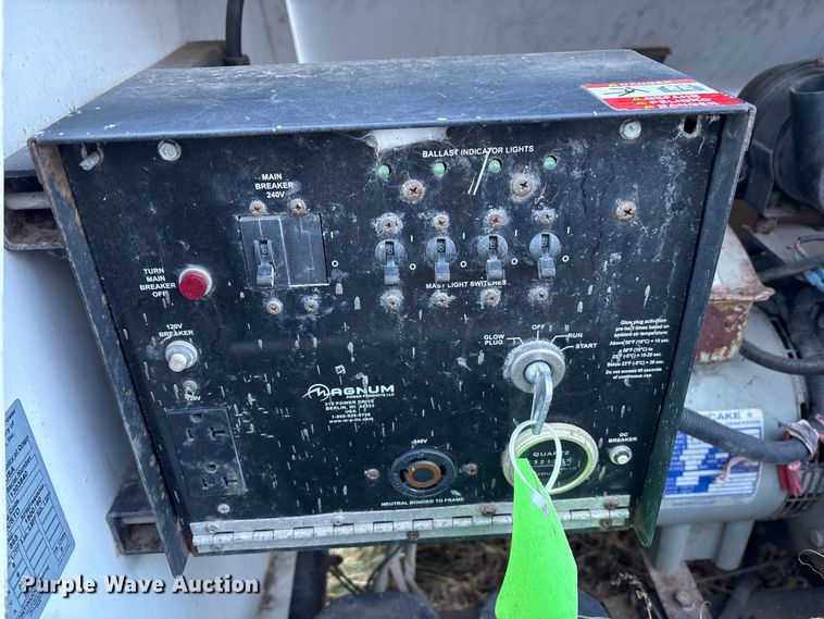 image for item DT2807 (3) light plants