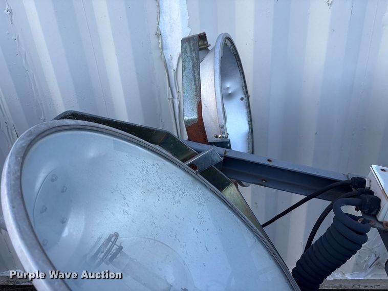 image for item DT2807 (3) light plants