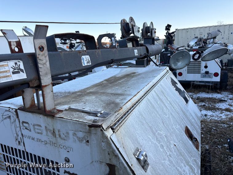 image for item DT2807 (3) light plants