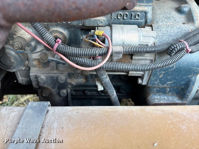 image for item DT2807 (3) light plants