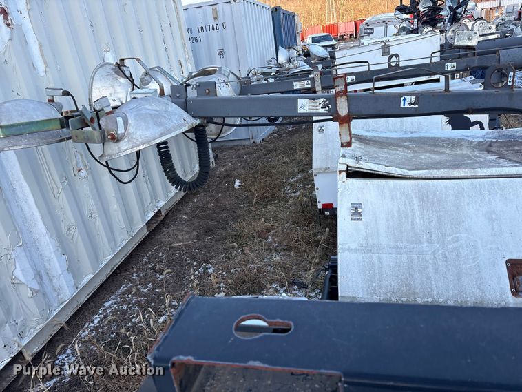 image for item DT2807 (3) light plants