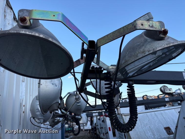 image for item DT2807 (3) light plants